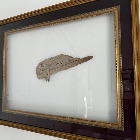 Il Pesce Di Legno Lejlighed Livorno Eksteriør billede